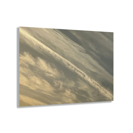 "White Greyz" Acrylic Print